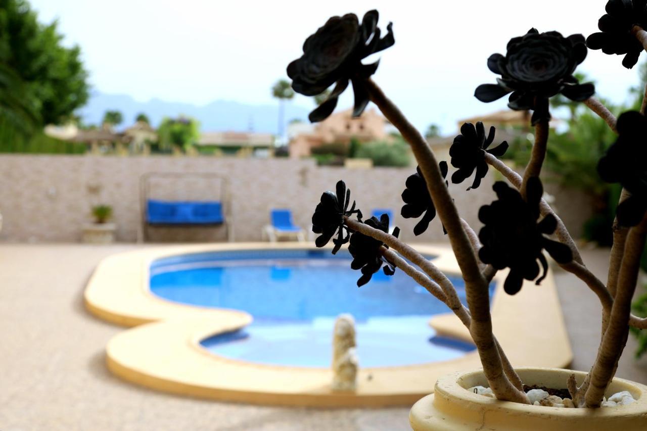 Villa Tres Palmeras En Alfaz Del Pi , Albir, Benidorm L'Alfas del Pi Exterior photo
